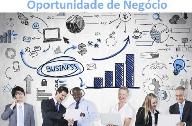 Em Busca de uma Oportunidade de Negócio